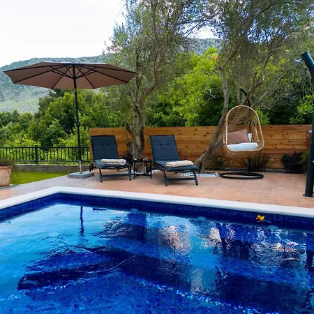 Villa Zen House